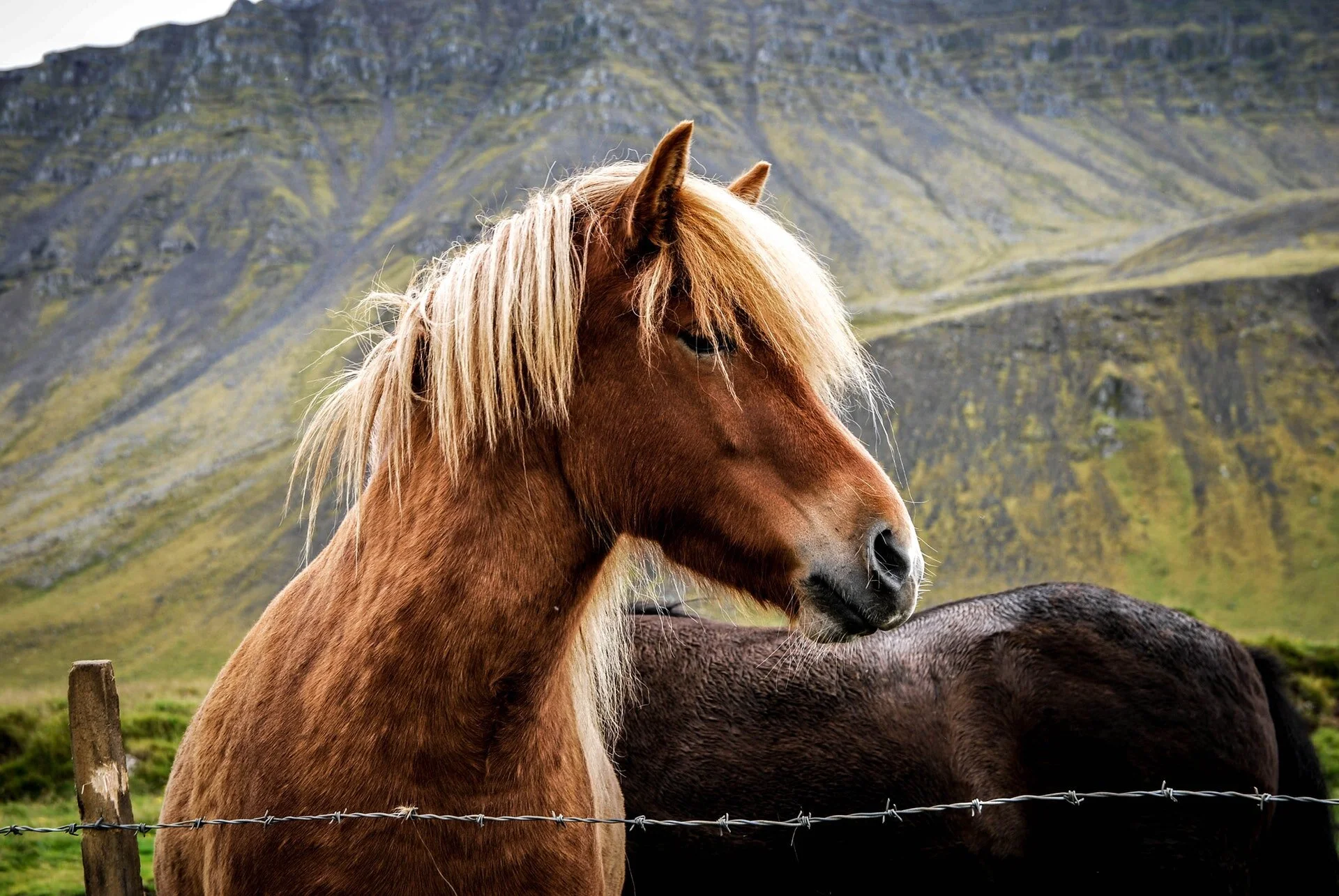 Cover Photo by Tatiana from Pexels
